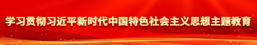 大胸美女日逼视频学习贯彻习近平新时代中国特色社会主义思想主题教育